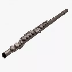 Flute 001 3D model