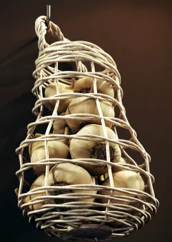 Garlic Basket  3D model