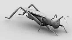 Grasshopper 3D model