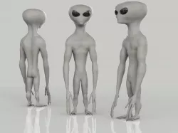 Gray Alien 3D model