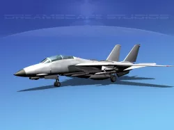 Grumman F-14D Tomcat Bare Metal  3D model