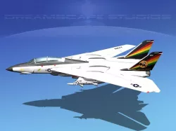 Grumman F-14D Tomcat T15a VF-31 3D model