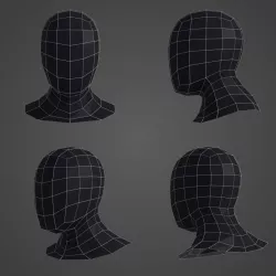 Human Head Basemesh 3D model
