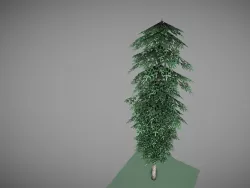 low poly pine tree Low-poly  3D model