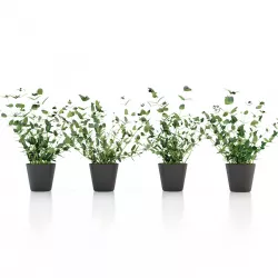  Mint Plant Pot 3D model
