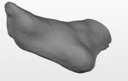 Pie Modelo 2