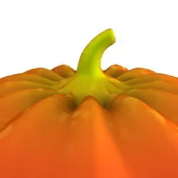 Pumpkin 3D model