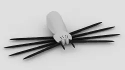 spider 3D model