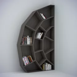 Spider web bookcase Low-poly  3D model