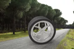 Tire and rim