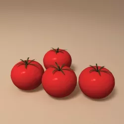 Tomato 3D model