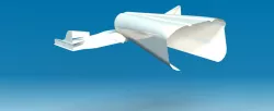 wing 
