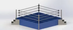 WWE RIng