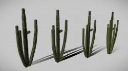 Cactus LODs sample