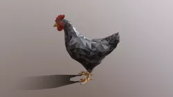 Chicken