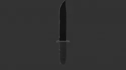 Combat Knife