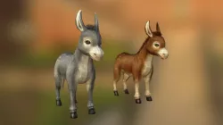 Donkey