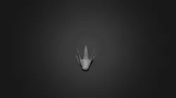 Dratini