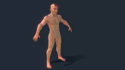 Engineer