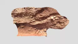 Field #553: Upper Papago Park Stop 6