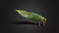 Grasshopper - Concept Model