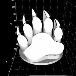 Grizzly bear claw display