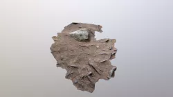 Ground Swatch