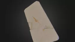 HALFBEAK (Yarımgagalı Balık)