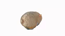 Hamster