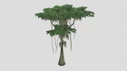 Jungle Tree