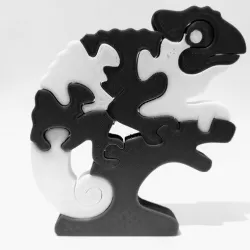Lizard Puzzle