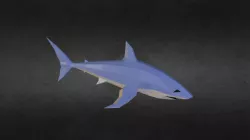 Low-Poly Shark