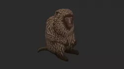 Monkey