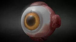 Ojo