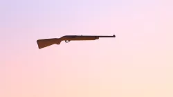 Ruger Model 44