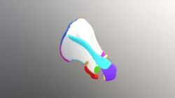 Scapula with Colored Features