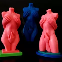 Sexy Woman Bust