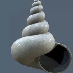Shell V0