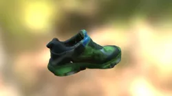 Shoe