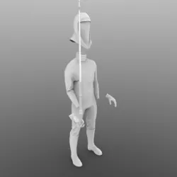STAR WARS, Royal guard