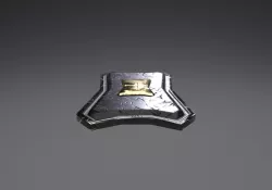 Templar Shield