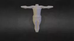 Torso