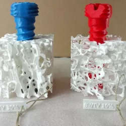 Trabecular bone osteoporosis model with bone screw