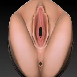 Travel male masturbator