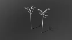 Tree-1&2
