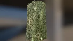 Tree4