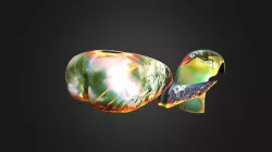 Vid