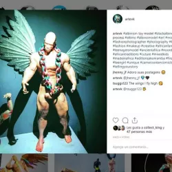 wings