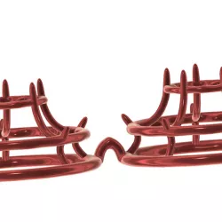 Women Tongue Breast Boobs Bondage Female Chastity Device Nipple Bra Restraints GOLDEN CAGE small tits version 3d print cnc