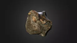Woolly Rhino Wristbone